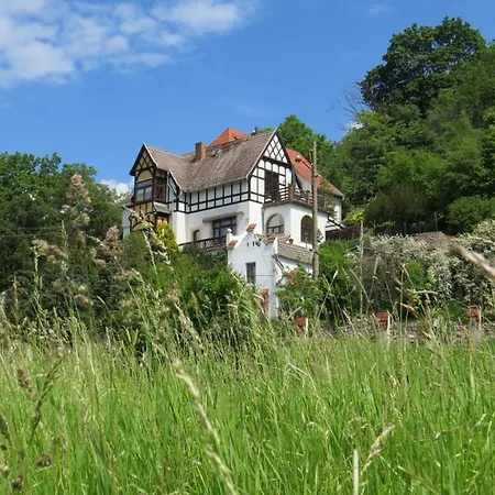 Elbsommer Am Weinberg Meissen